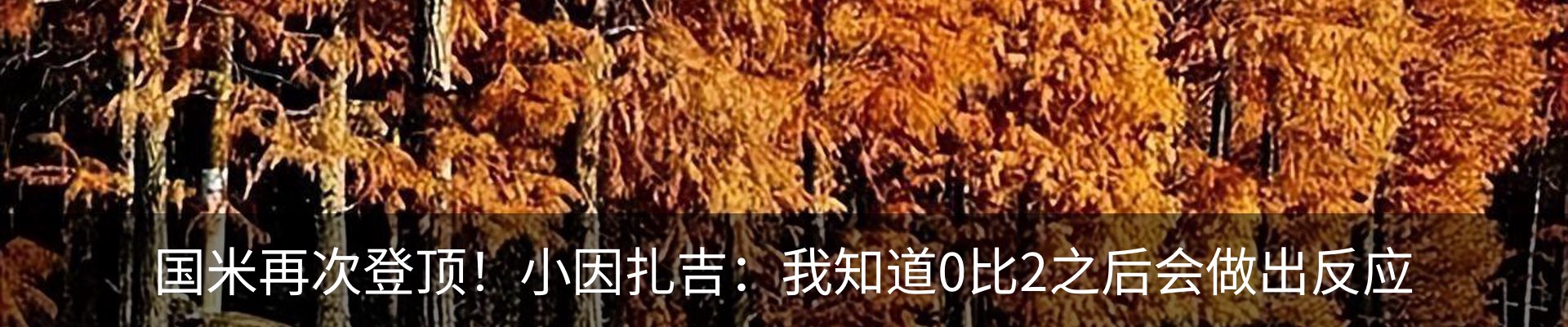 资讯动态