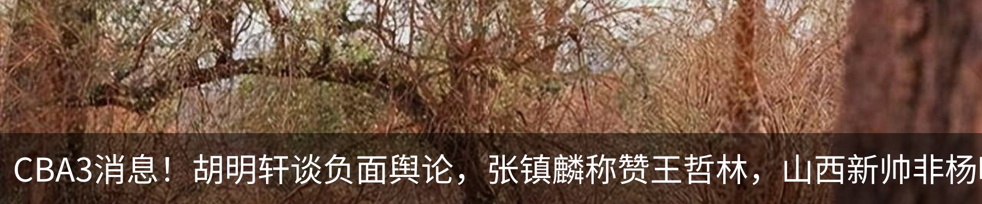 资讯动态